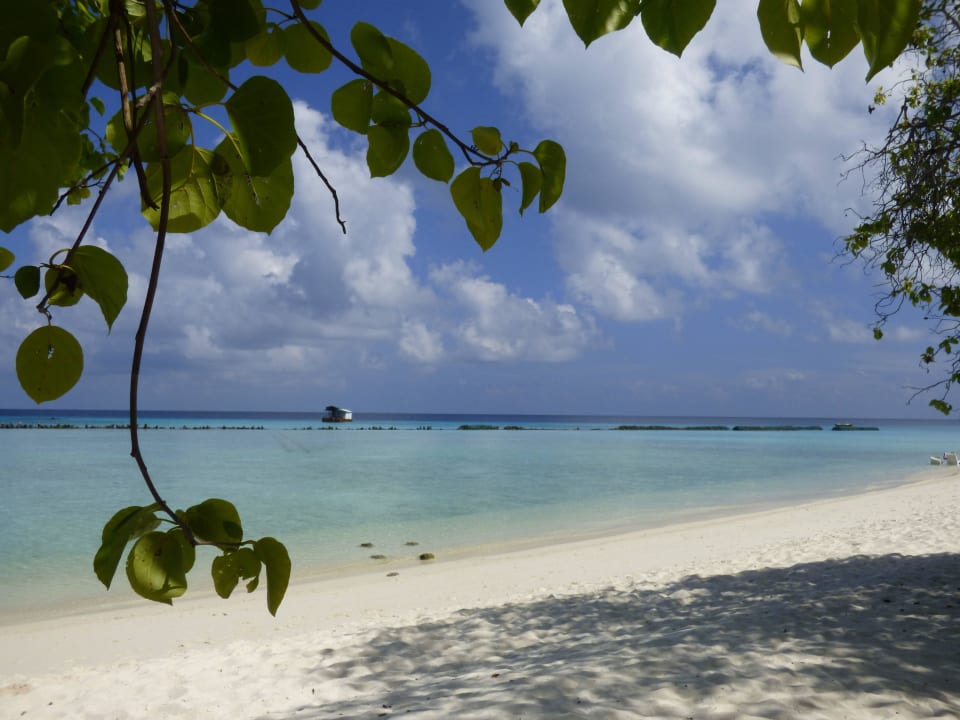 Ostseite  Summer Island Maldives