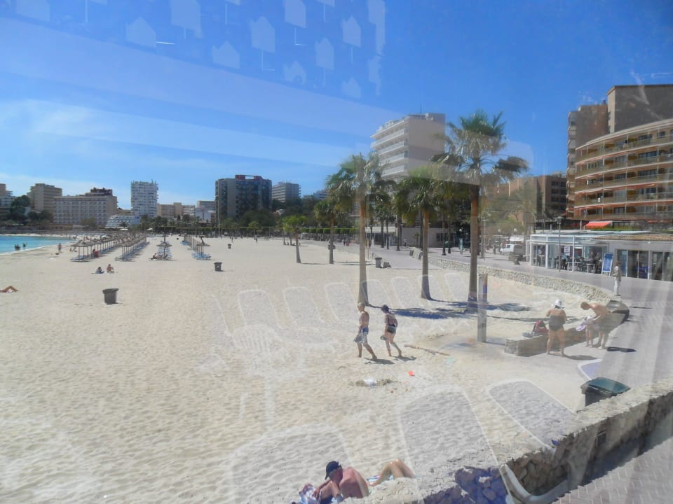 Beach area Flamboyan Caribe Hotel & Spa