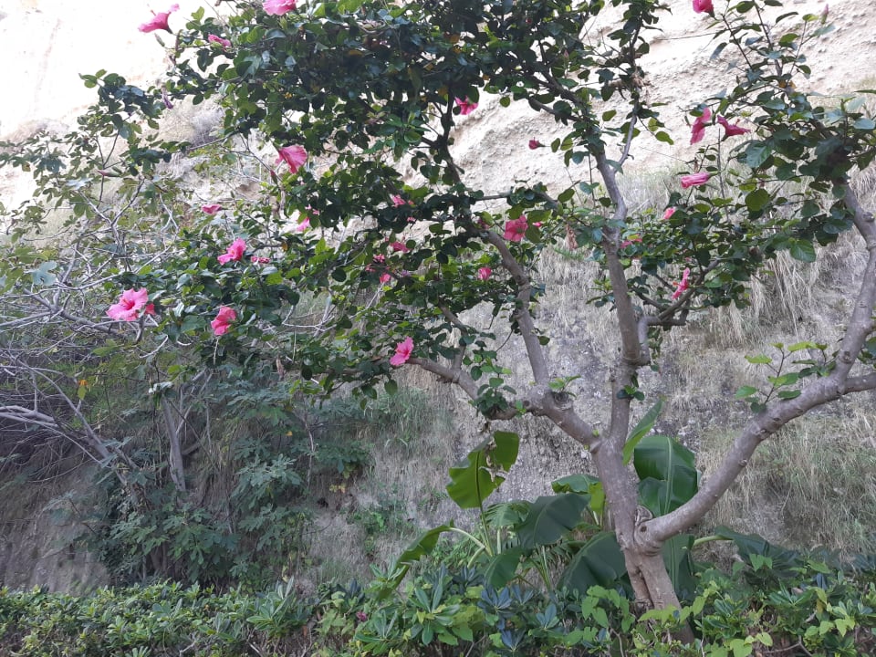 Strand Aldiana Club Rocca Nettuno Calabria