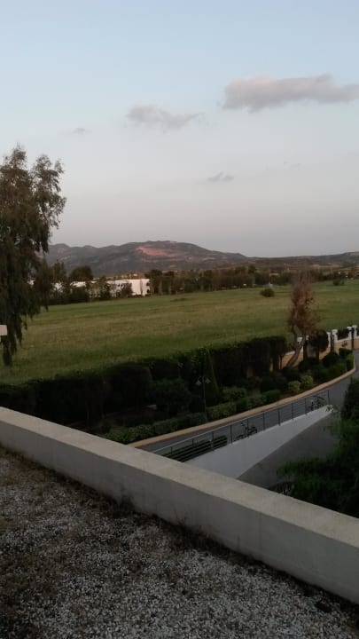 Ausblick aus Zimmer 1142 Neptune Luxury Resort