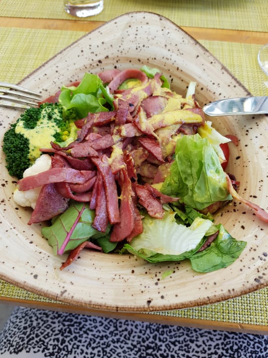 Gastro Acanthus Cennet Barut Collection