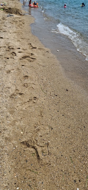 Strand TUI BLUE Lagoon Princess