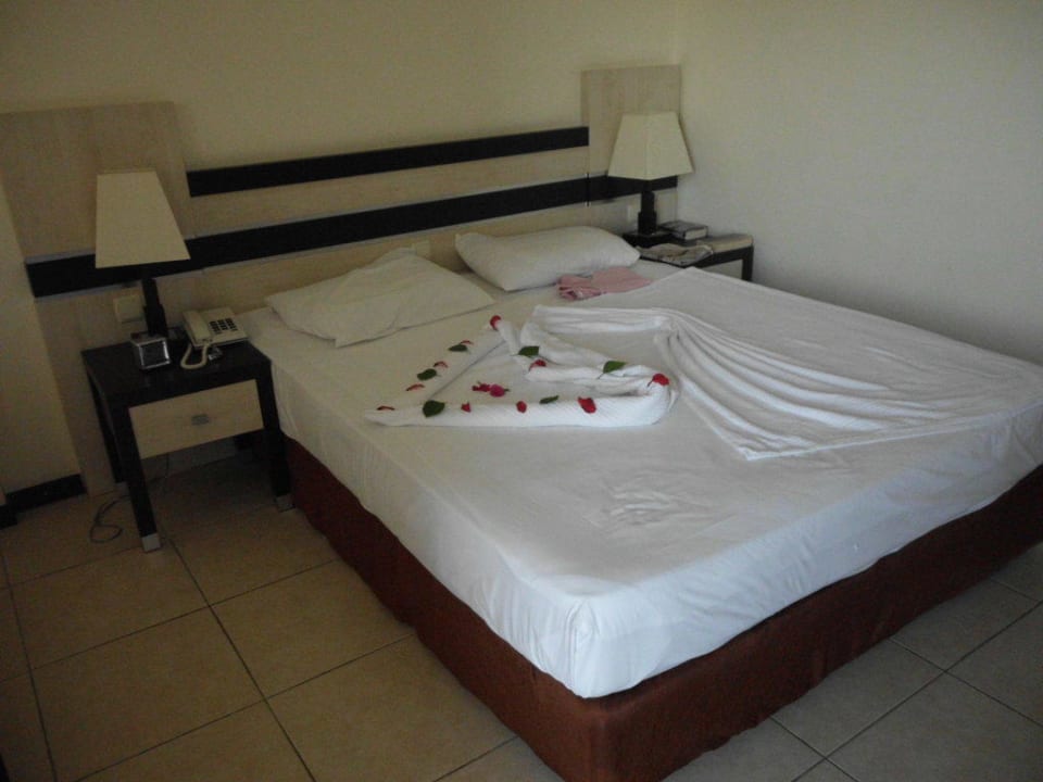 Auf Rosen gebettet! Hotel Orfeus Park