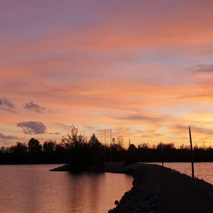 Ausblick LAGOVIDA Ferienresort am Störmthaler See
