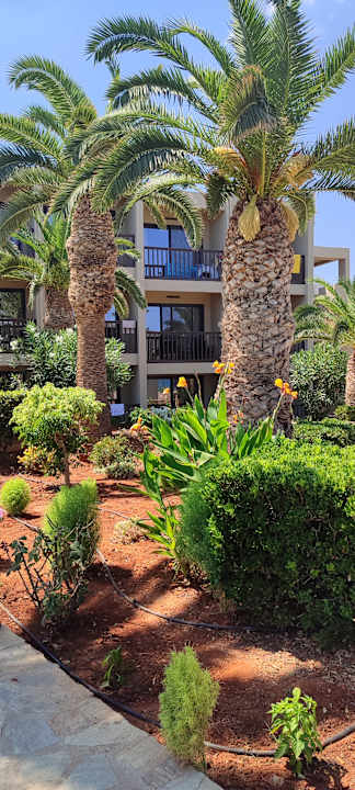Ausblick allsun Hotel Malia Beach