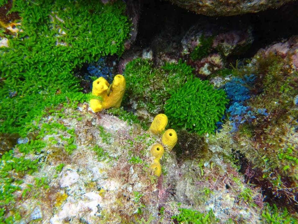 Strand Barceló Teguise Beach - Adults only