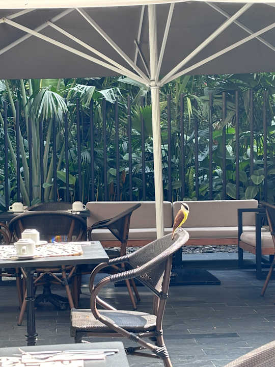 Gartenanlage Lettera Hotel