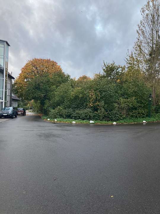 Ausblick Seehotel Frankenhorst - BW Signature Collection