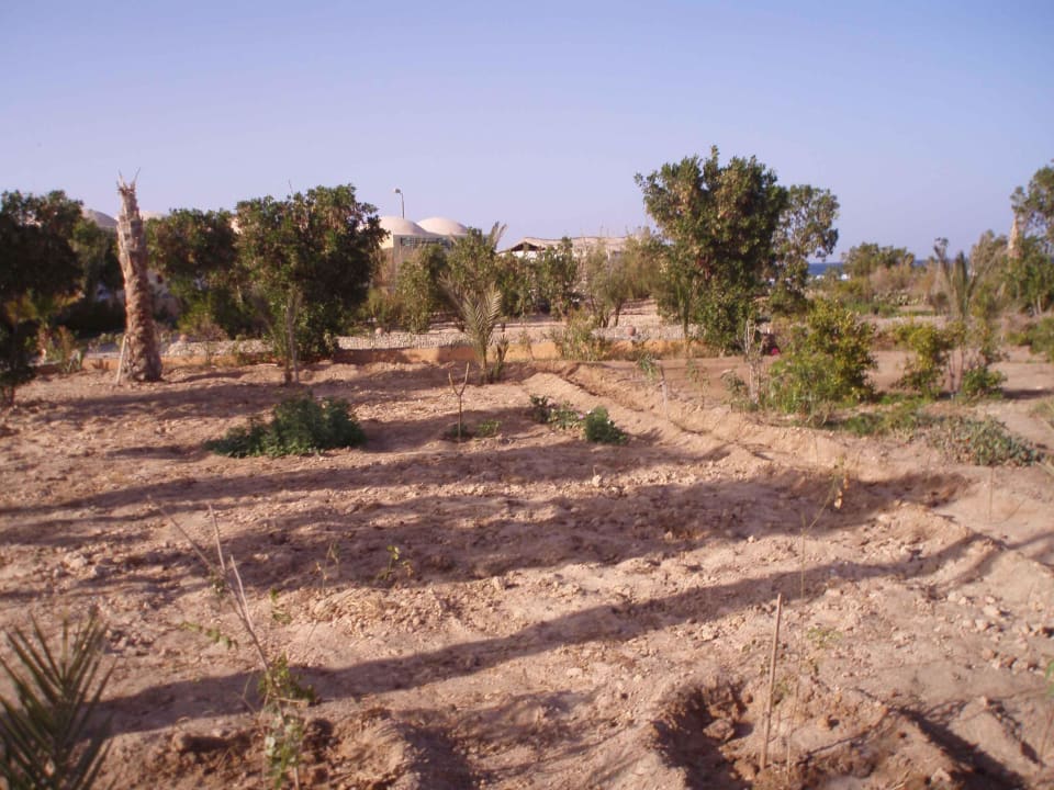 Ohne Worte Sea Hug Resort