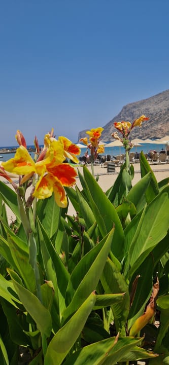 Strand Fodele Beach & Water Park Holiday Resort