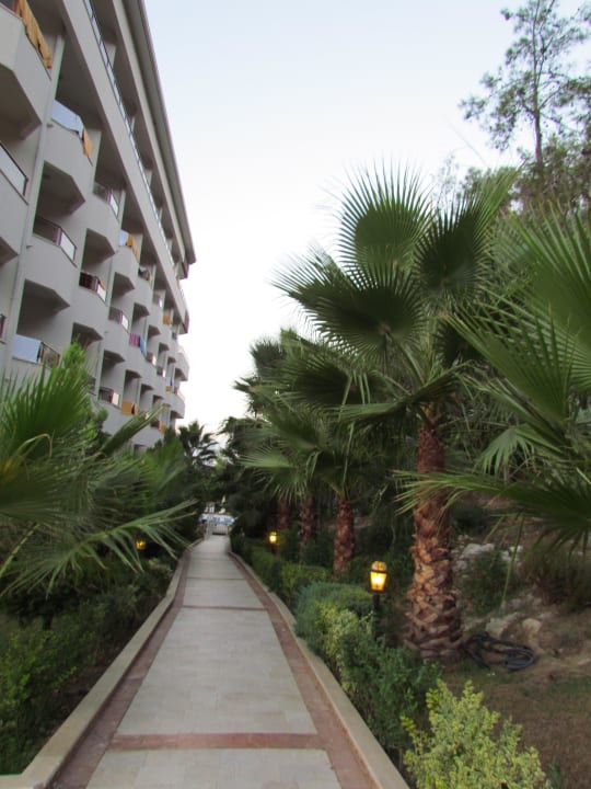 Дорожка Hotel Alara Kum