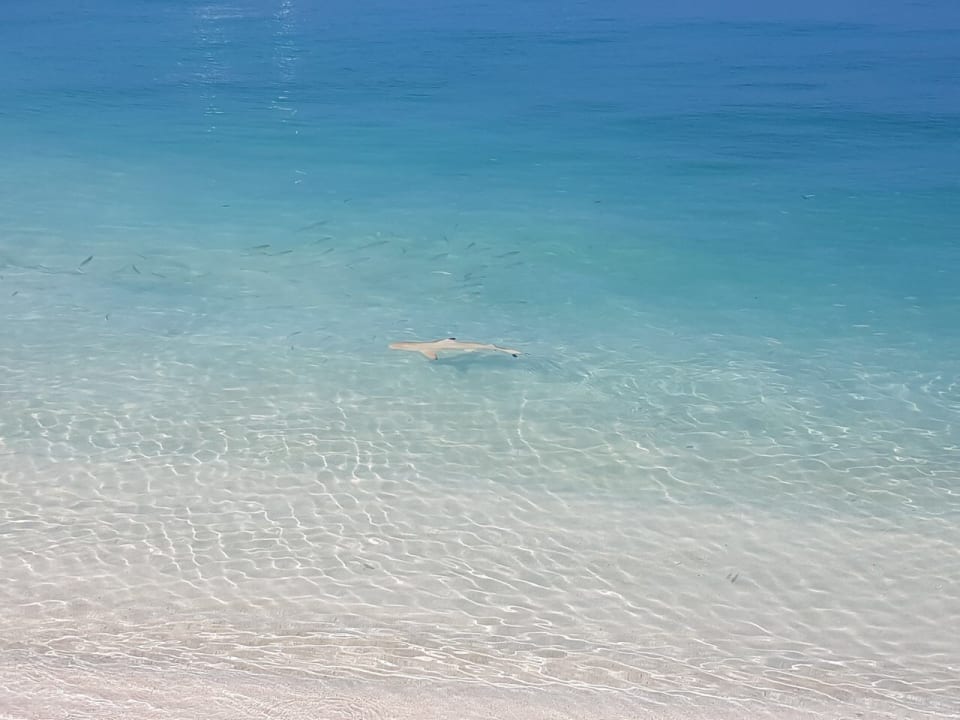 Ausblick Meeru Maldives Resort Island