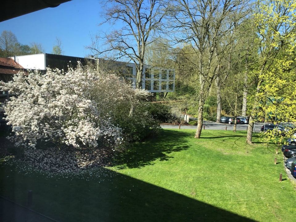 Ausblick vom Zimmer 2 FREIgeist Northeim