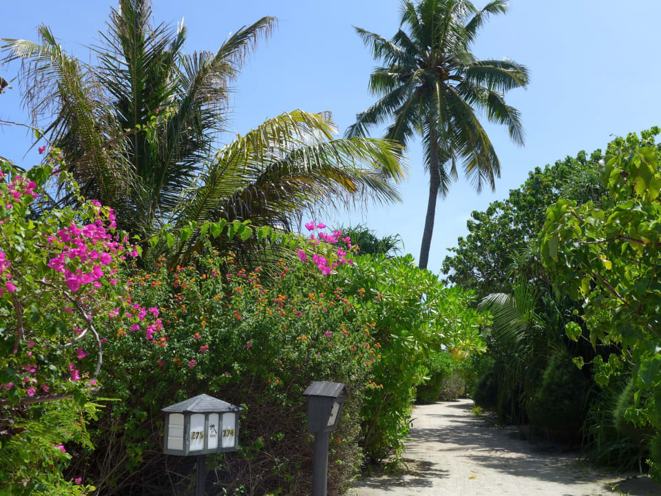 Eingang Kuredu Island Resort & Spa