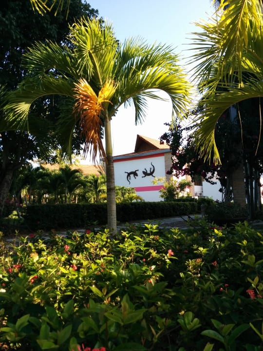 Garten Decameron Baru