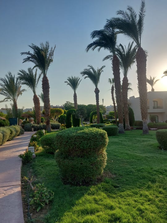 Gartenanlage Lotus Bay Beach Resort