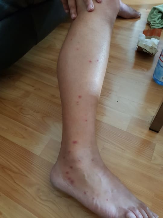 Sonstiges Neptune Village Beach Resort & Spa