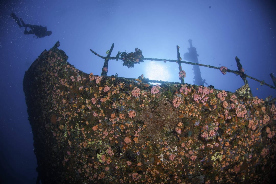 Diving  at Centara Grand Island Resort & Spa Machchafushi Island Resort & Spa Maldives, The Centara Collection