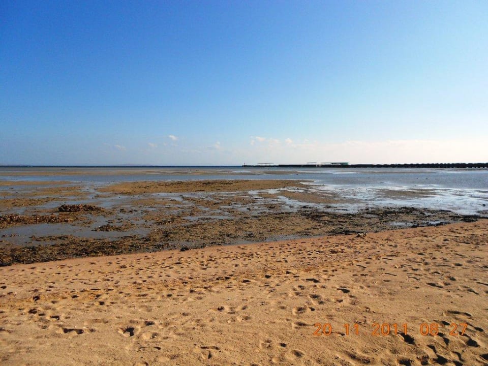 Strand bei Ebbe Hotel Titanic Palace