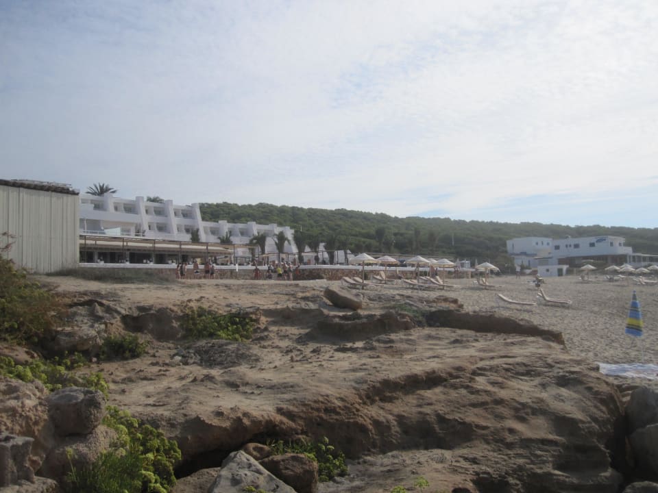 Blick aufs Hotel und den Strand Hotel Riu Palace La Mola