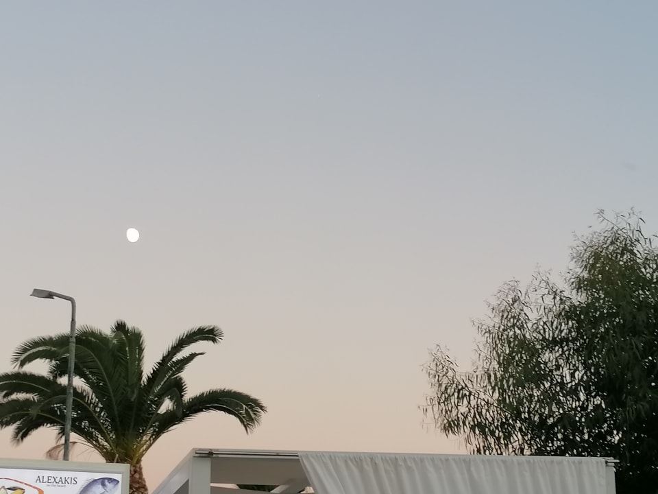 Ausblick Hotel Albatros