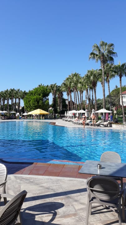 Pool Arum Barut Collection