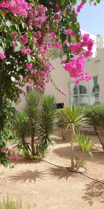 Gartenanlage Iberostar Waves Mehari Djerba