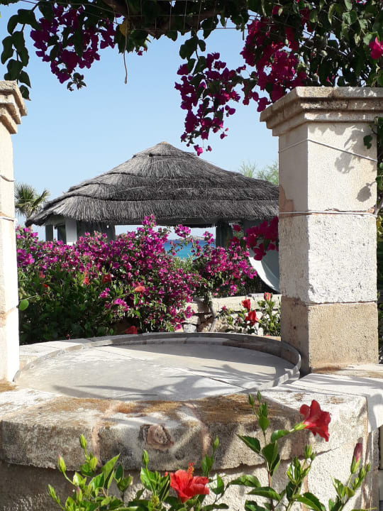 Gartenanlage Aquagrand Artistic Luxury Beach Resort - Adults only