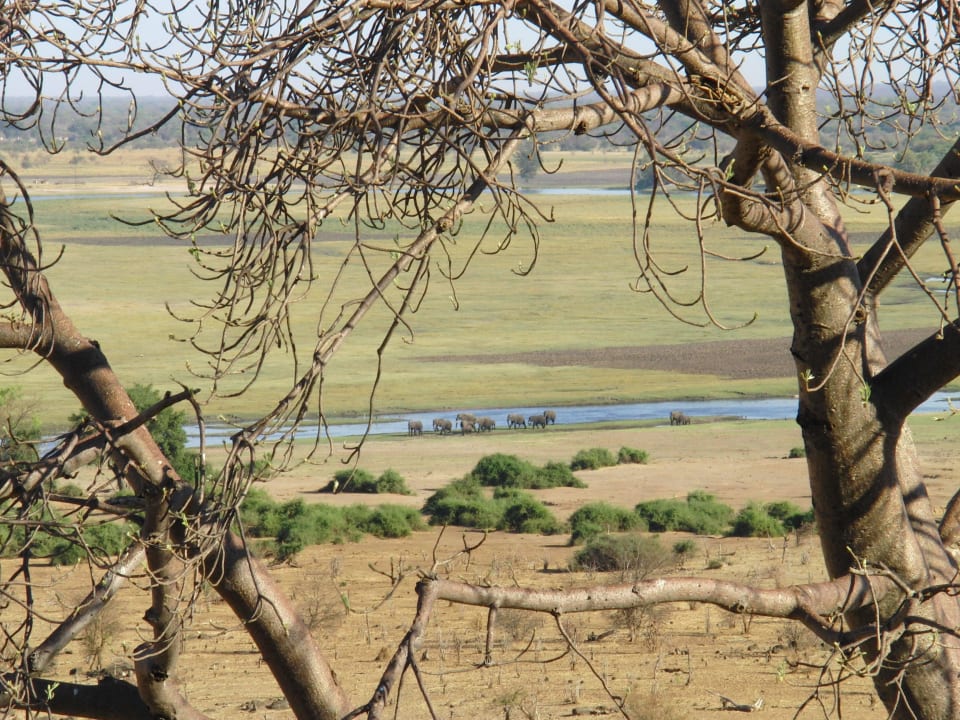 Blick auf den Chobefluss Ngoma Safari Lodge