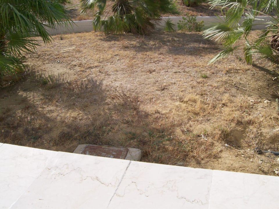 Netter Ausblick vom Balkon Sandy Beach Resort