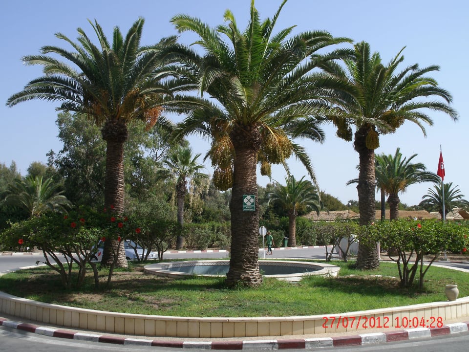 Hotel Eingangsbereich Royal Lido Resort & Spa