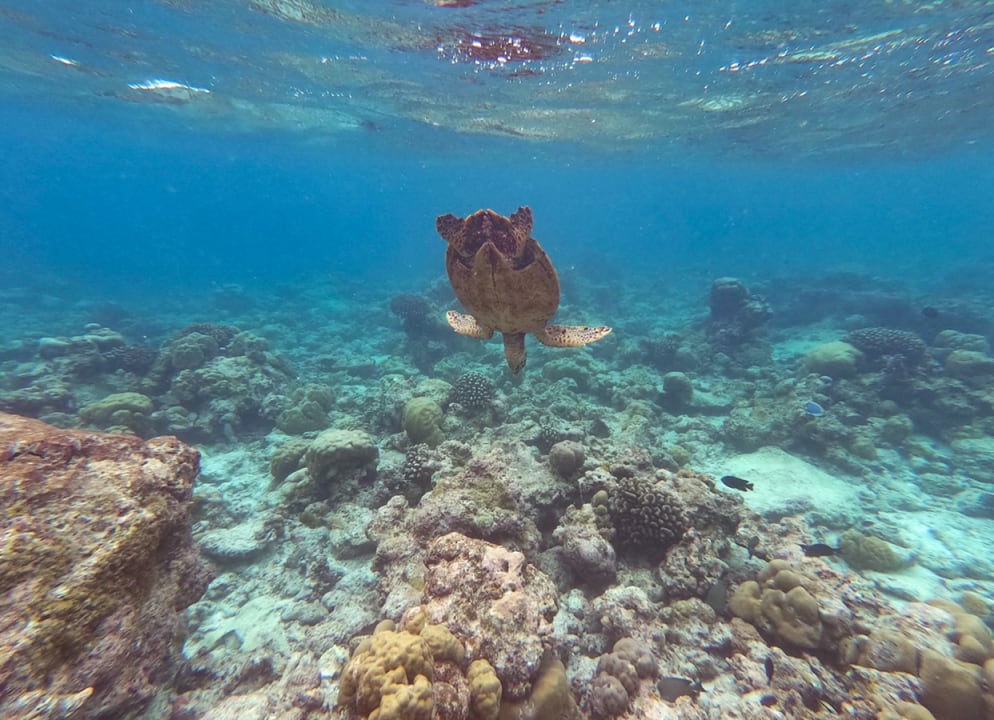 Sport & Freizeit NH Collection Maldives Reethi Resort