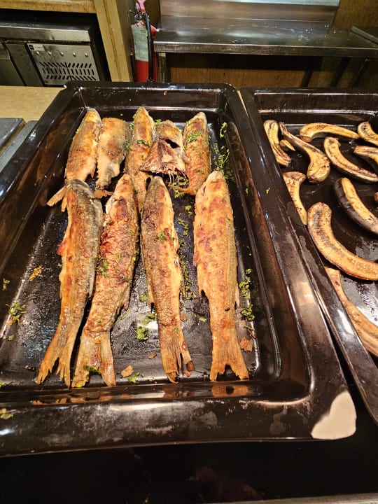 Gastro Makadi Spa - Adults only