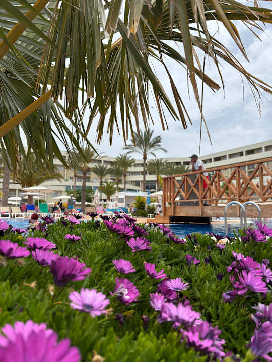 Pool Iberostar Waves Gaviotas Park