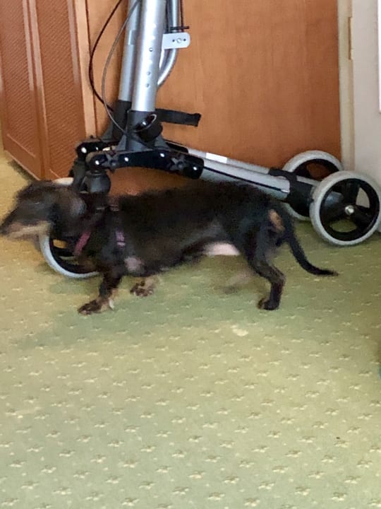 Sonstiges Seehotel Schloss Klink