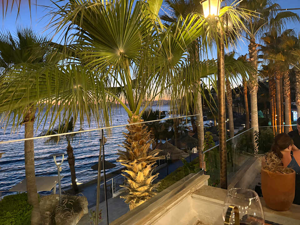 Ausblick TUI MAGIC LIFE Bodrum - Adult Only (16+)