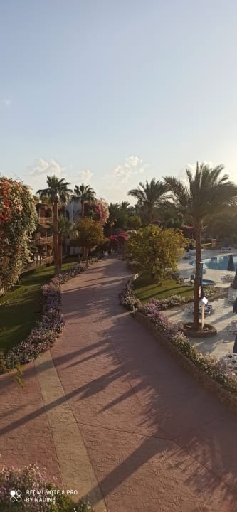 Ausblick Desert Rose