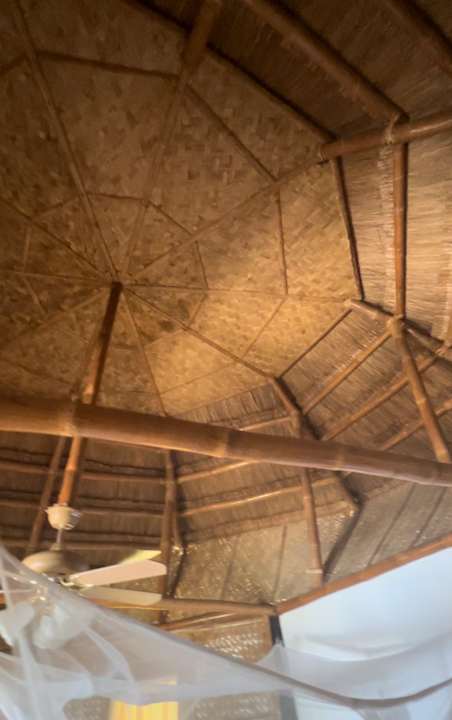 Zimmer Cashew Grove Beach Resort