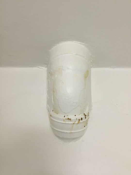 Lecker.... St.Joseph Hotel Hamburg St.Pauli Kiez Reeperbahn