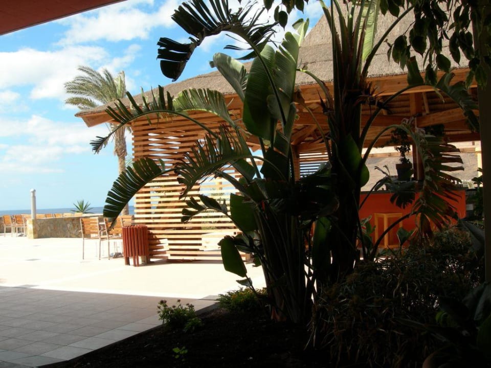 Hotelterrasse/Lounge Playitas Villas