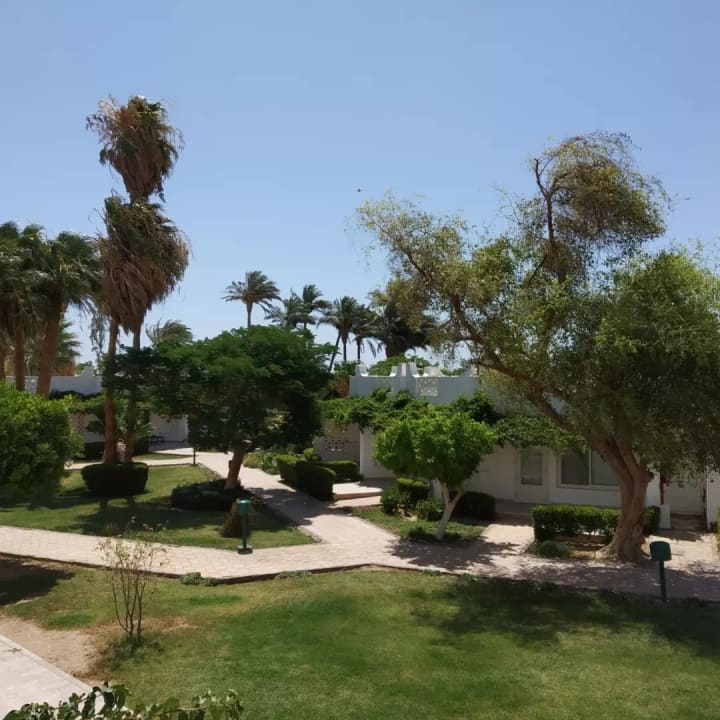 Gartenanlage Shams Safaga Resort