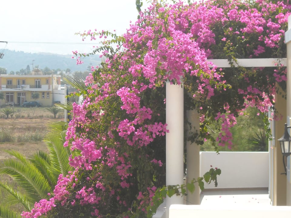 Ausblick von oben Richtung Pili Hotel Cavo D'oro