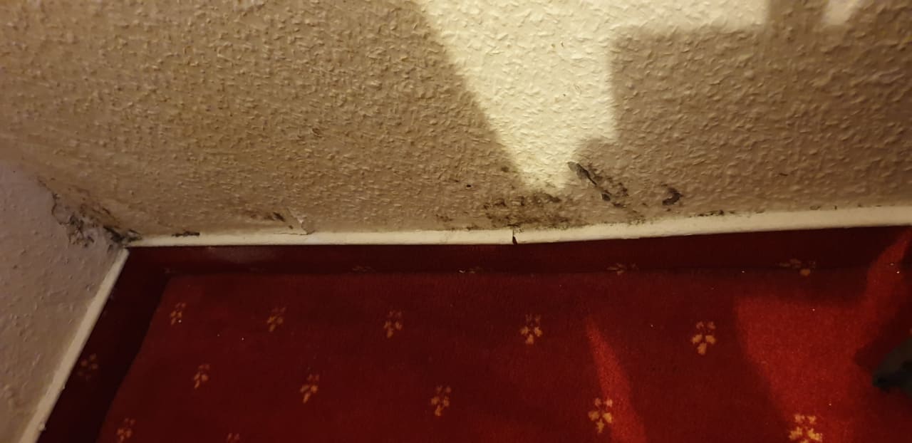 Zimmer acora City Apart Living the City