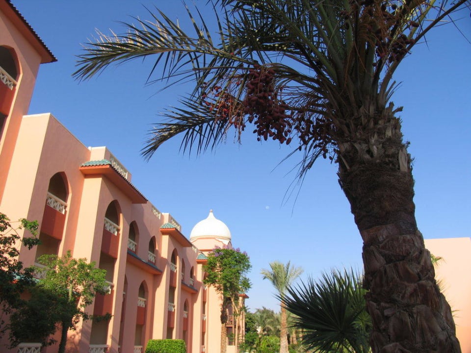 Garten Pickalbatros Aqua Park Resort - Hurghada