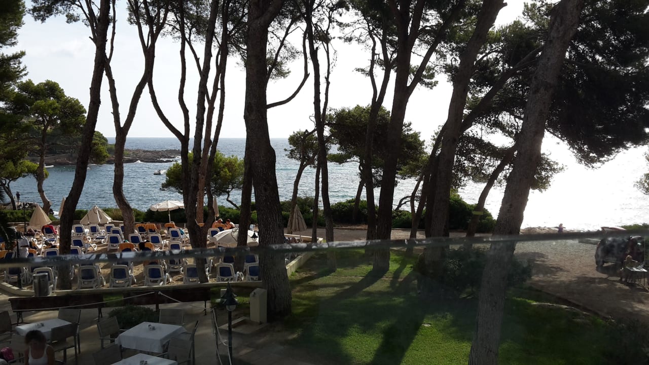 Garten Iberostar Waves Pinos Park