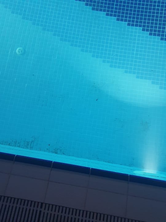 Pool Well Palace Side