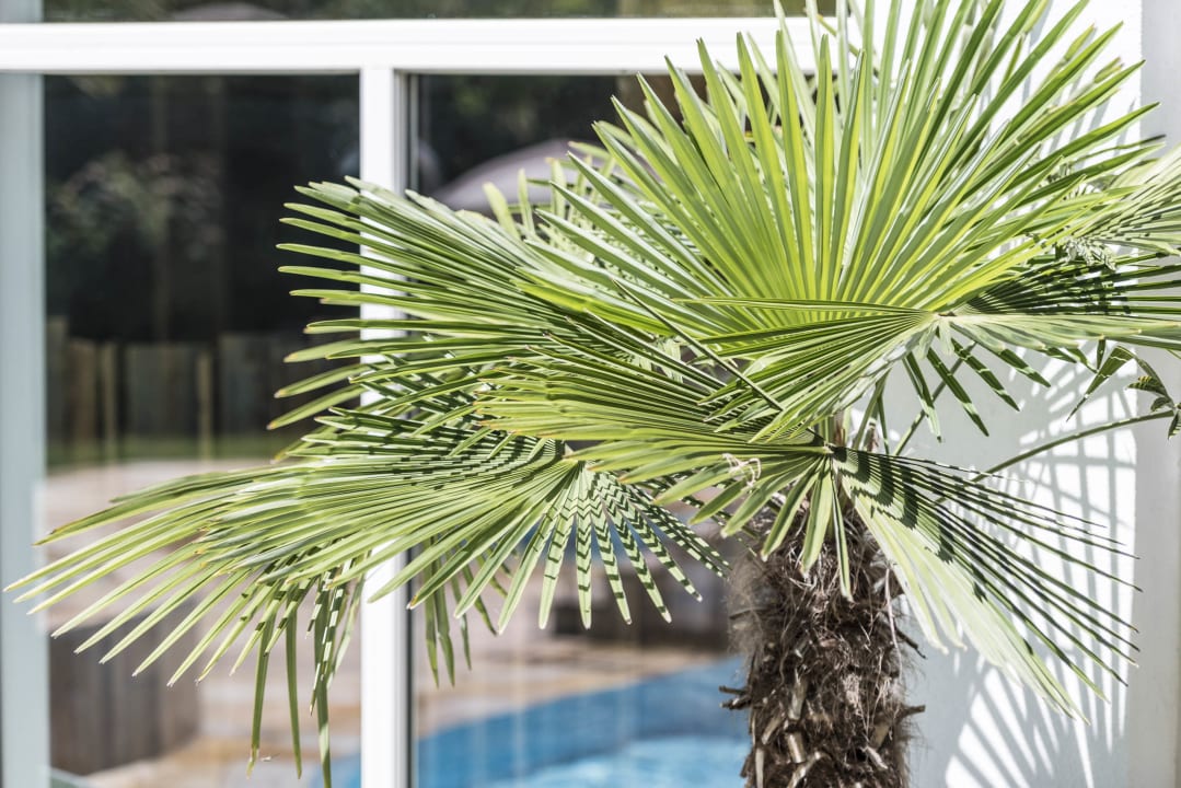 Gartenanlage STROBLHOF Active Family SPA Resort