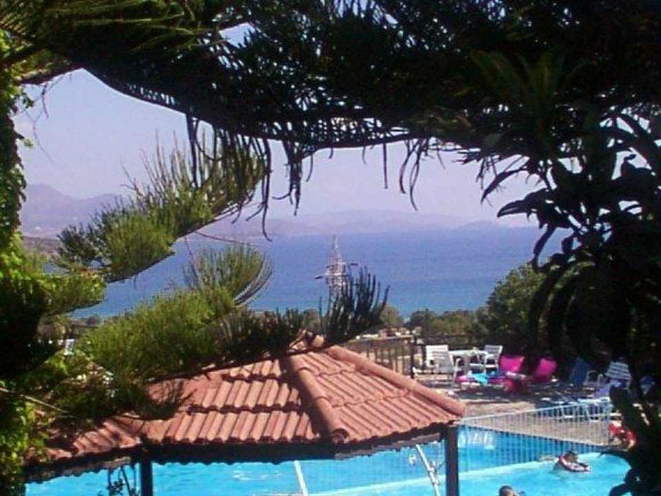 Blick in den Garten mit Pool Elpida Village