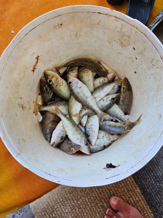 Gastro Aladdin Beach Resort