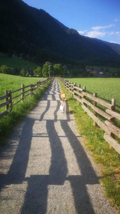 Sport & Freizeit Hotel Wiesenhof Garden Resort